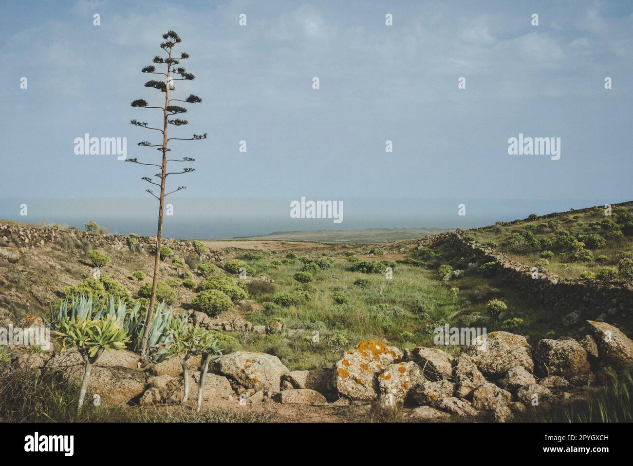 Paesaggio naturale primaverile delle Isole Canarie di Lanzarote Foto Stock