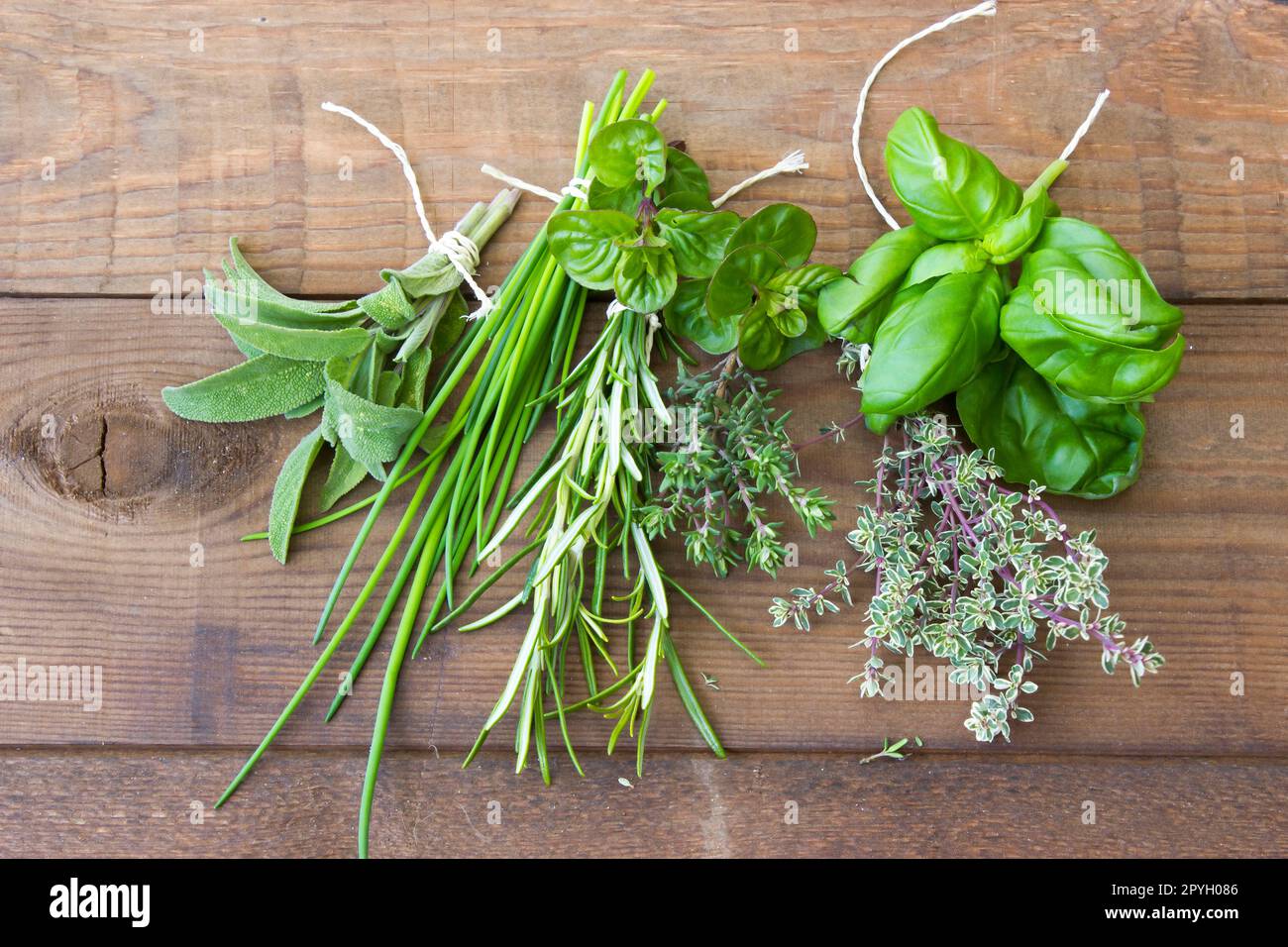 Appena raccolto erbe su sfondo di legno Foto Stock