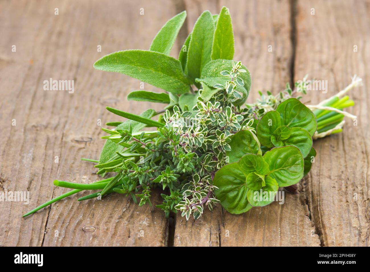 Appena raccolto erbe Foto Stock