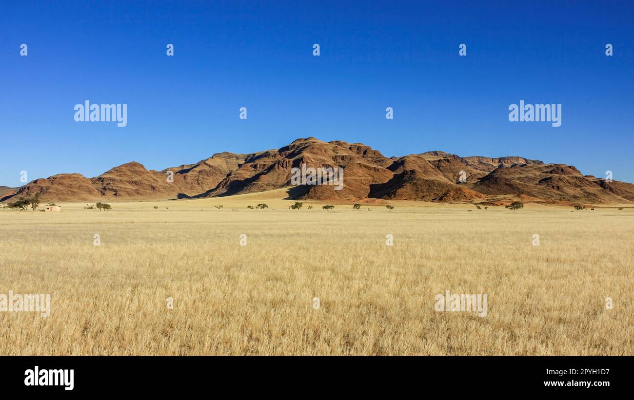 Il paesaggio di Savannah della Namibia Foto Stock