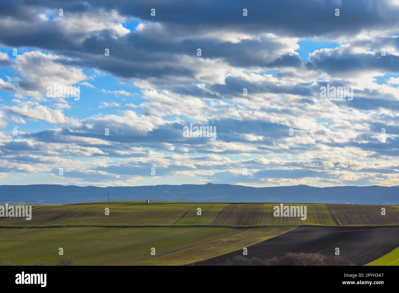 campi variopinti con meravigliose nuvole nel cielo blu Foto Stock