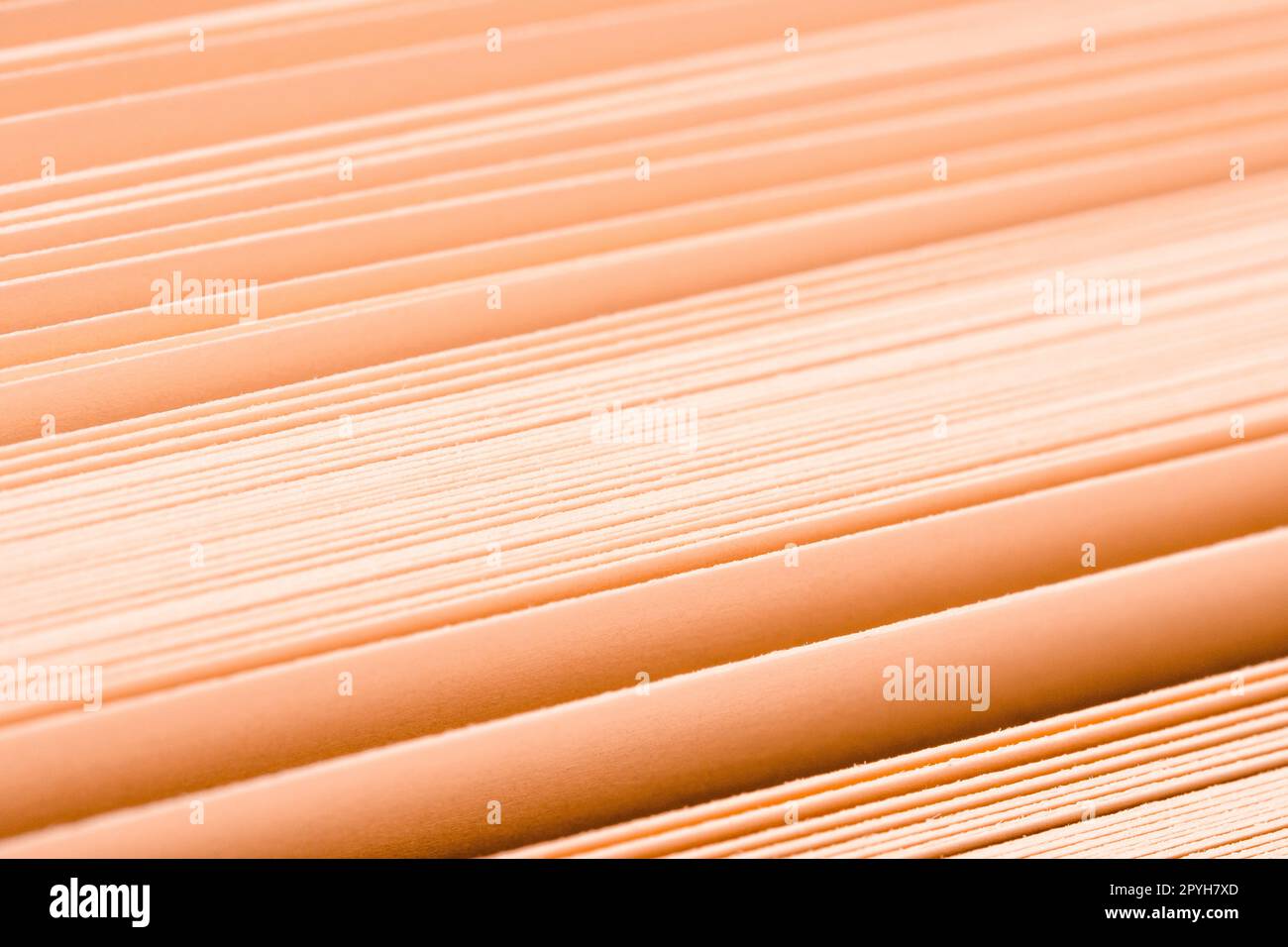 Vista Macro delle pagine di un libro Foto Stock