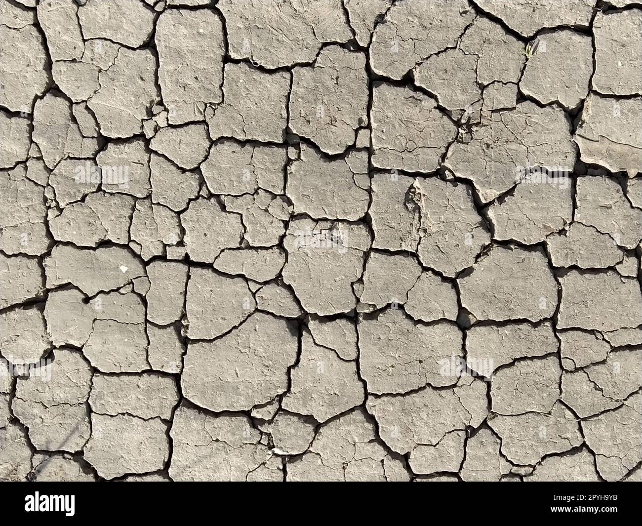 Incrinature nel terreno. Aridità. Terra grigia. Deserto. Primo piano del fango incrinato. Trama Foto Stock