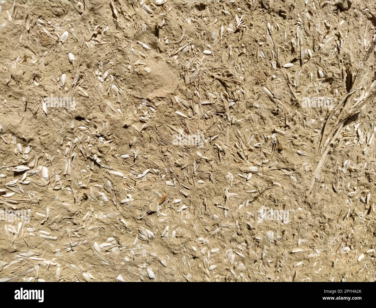 Sfondo ravvicinato del muro di una vecchia casa fatta di argilla mescolata con paglia. Vecchio tipo di costruzione. Muro di argilla di paglia e fango. Letame miscelato con argilla ed essiccato come materiale da costruzione Foto Stock