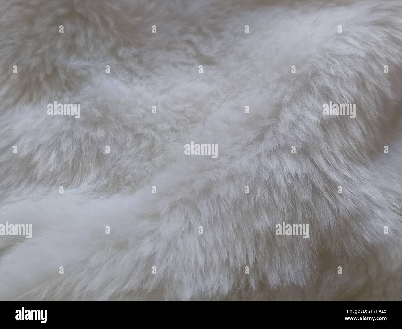 Pelliccia sintetica bianca. Primo piano. Foto parzialmente sfocata. Villi soffici Foto Stock