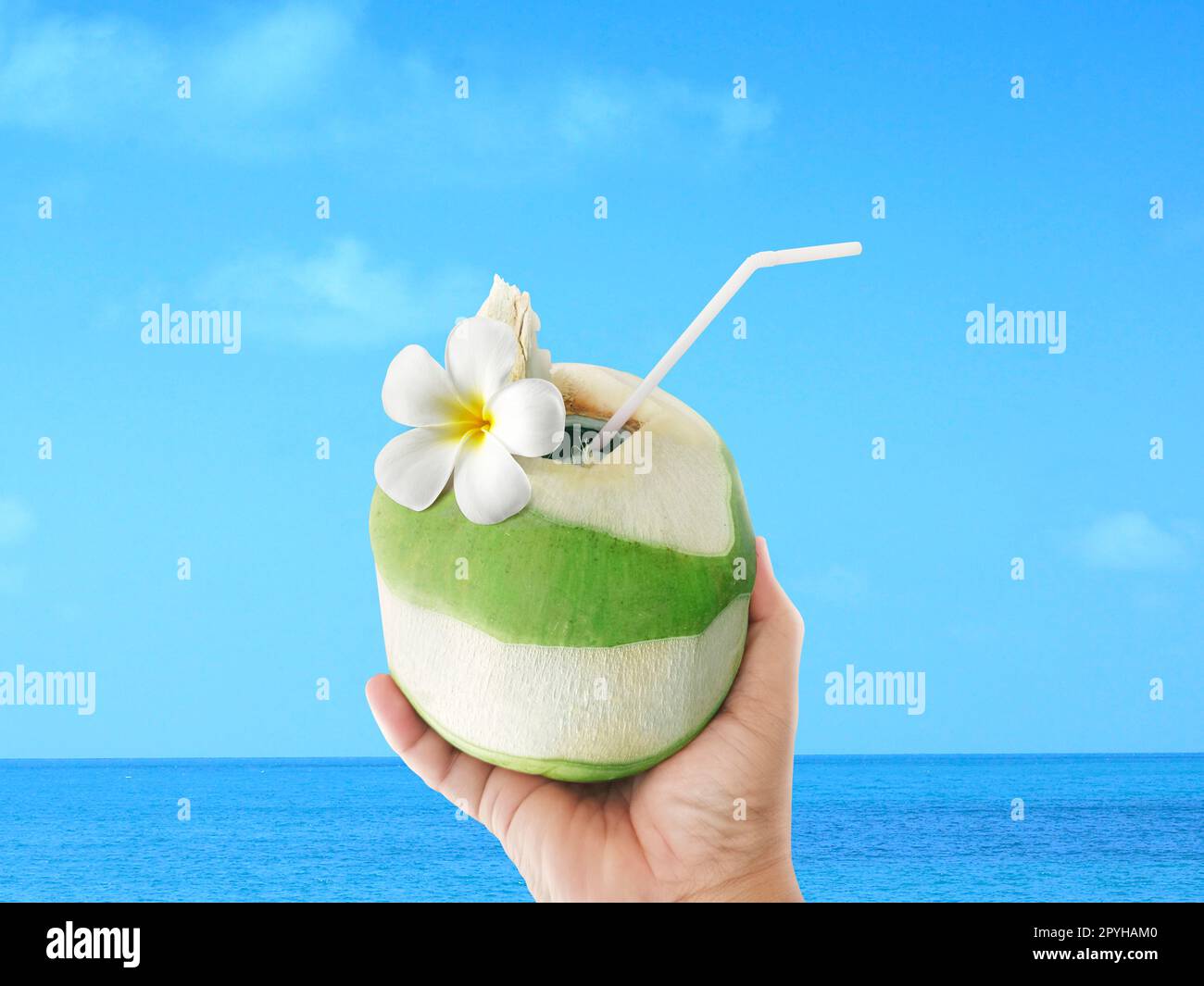 Punto di vista tenendo una noce di cocco sulla spiaggia Foto Stock