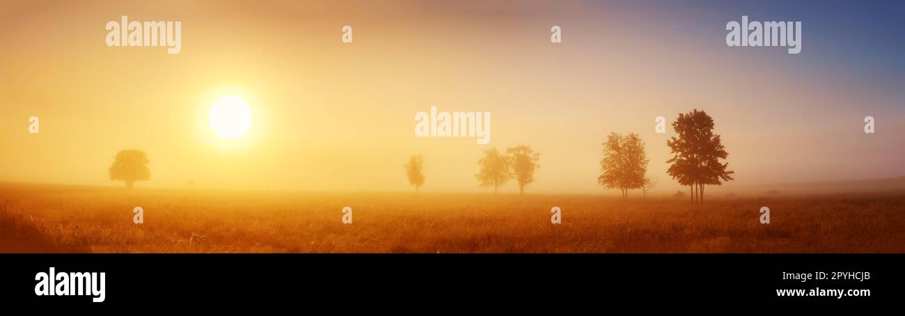 Alba sul campo nella mattina nebbia. Foto Stock