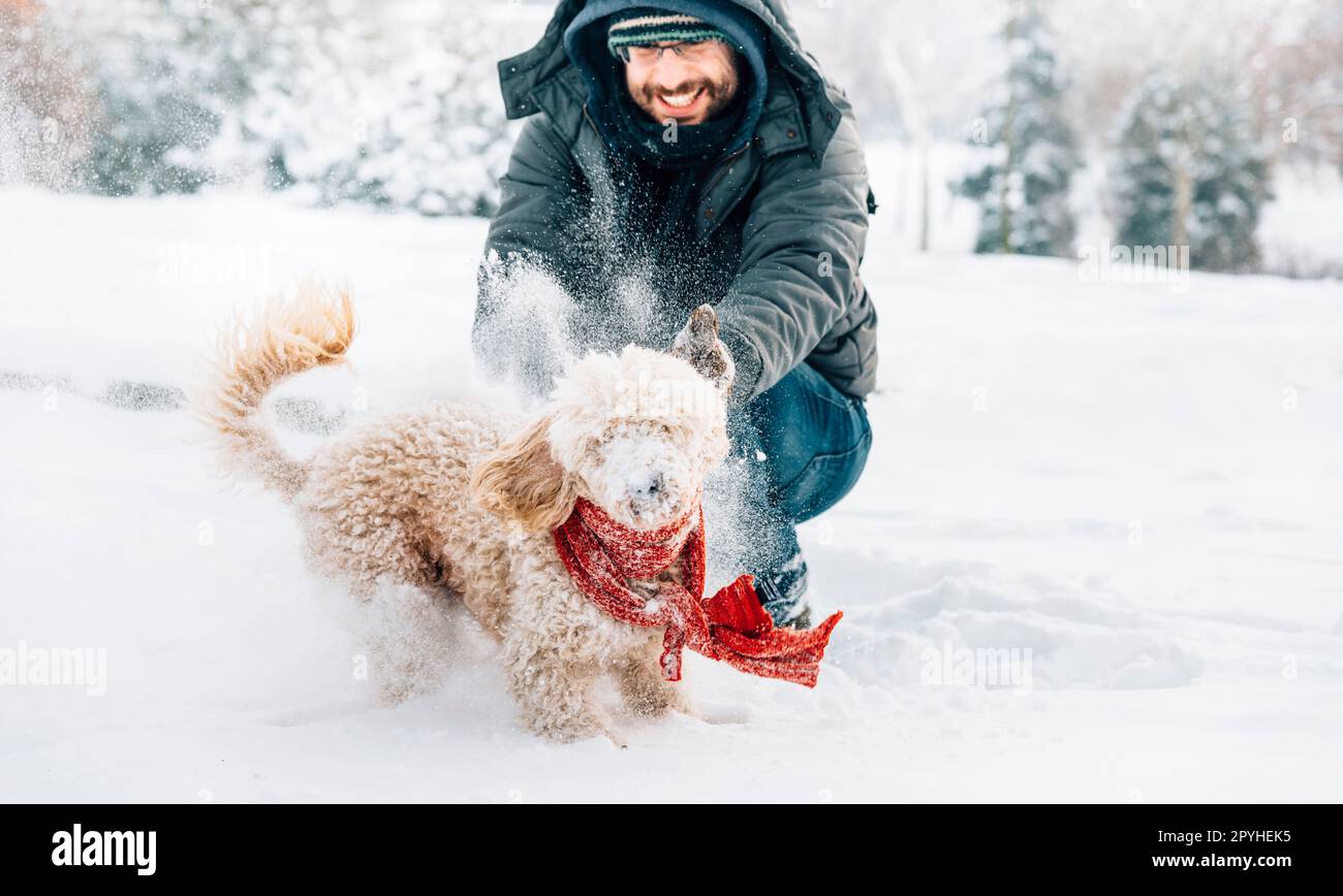 Combatti con le palle di neve con PET e il suo proprietario nella neve. Emozioni per le vacanze invernali. Foto Stock