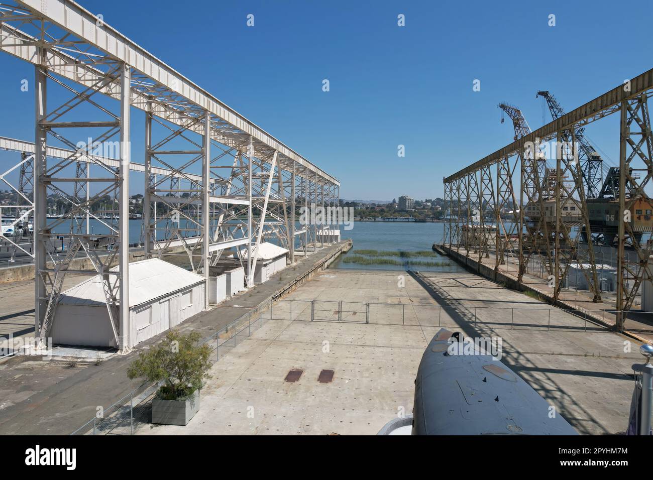 5-10-2021: Vallejo, California: Isola del mare in Vallejo Caliornia Foto Stock
