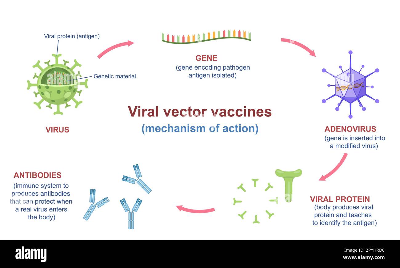 Infografica sui vaccini virali Illustrazione Vettoriale