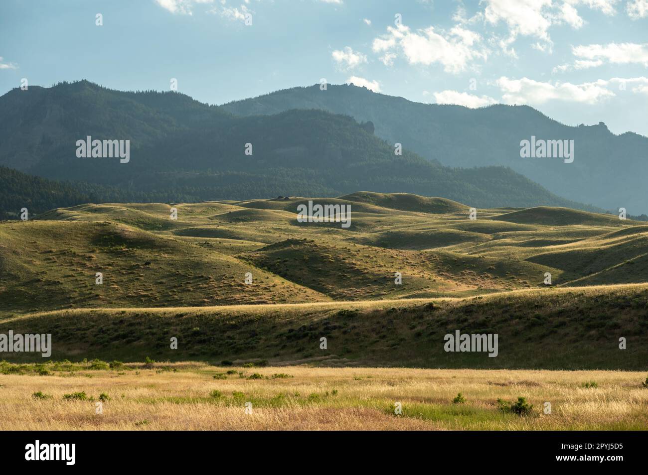 Collinare sotto le Yellowstone Mountains da Gardiner, Montana Foto Stock