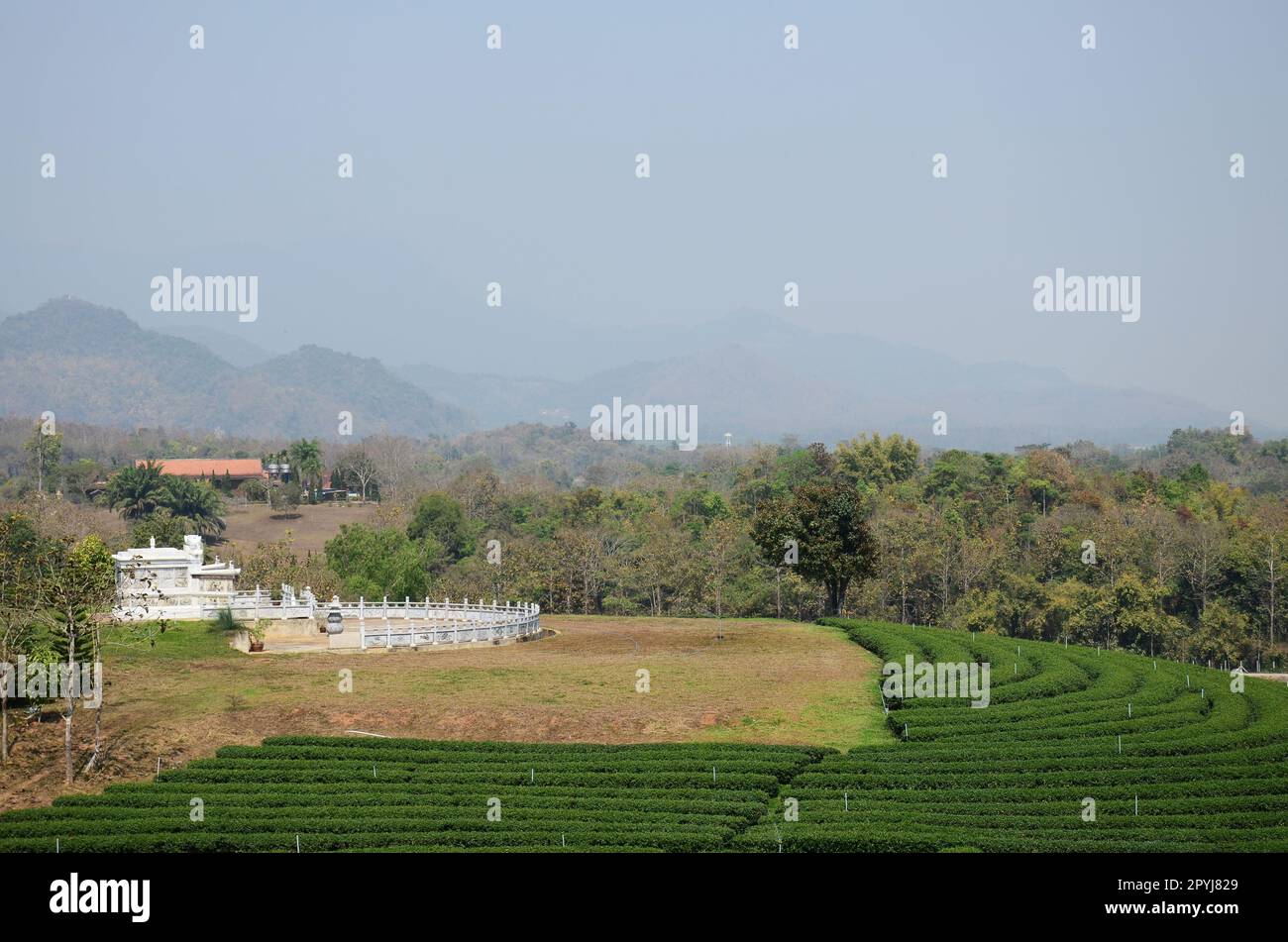 Vista paesaggio rurale campagna e parco giardino fattoria sulla montagna per i thailandesi e i viaggiatori stranieri visitare e riposare relax di Choui Fong Foto Stock