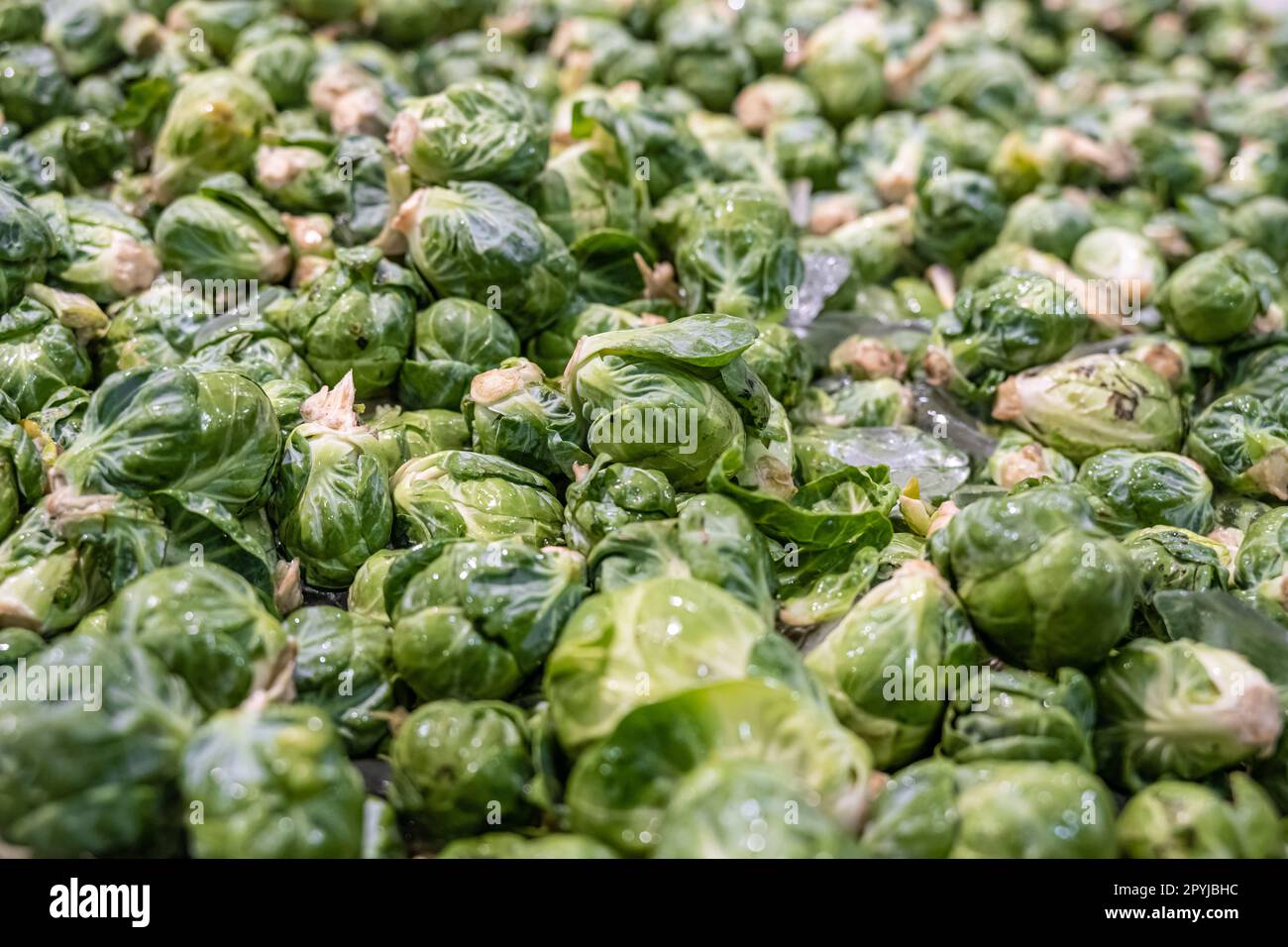 I germogli freschi di Bruxelles sono esposti in un mercato agricolo vicino ad Atlanta. (USA) Foto Stock