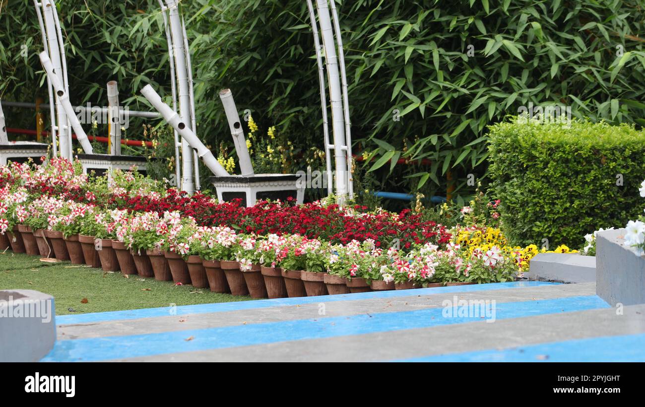 bellissimo giardino di fiori in un parco Foto Stock