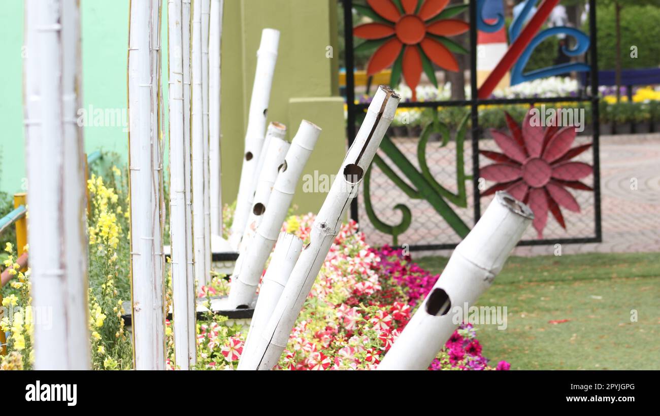 fiori colorati in un giardino parco Foto Stock