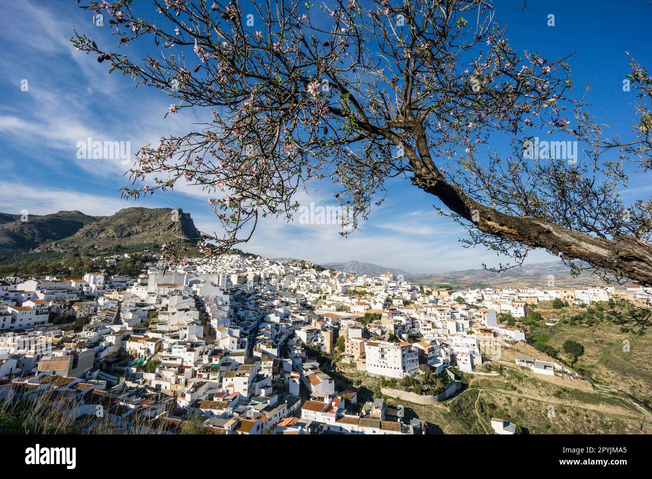 Álora , Malaga, Andalusia, Spagna Foto Stock