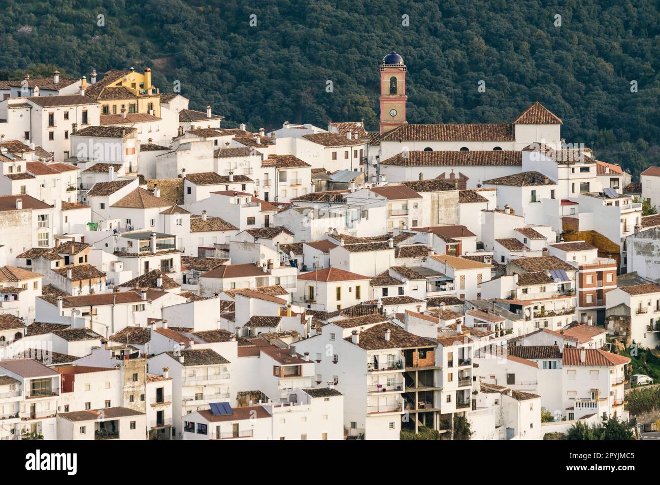 In Andalusia, Spagna Foto Stock