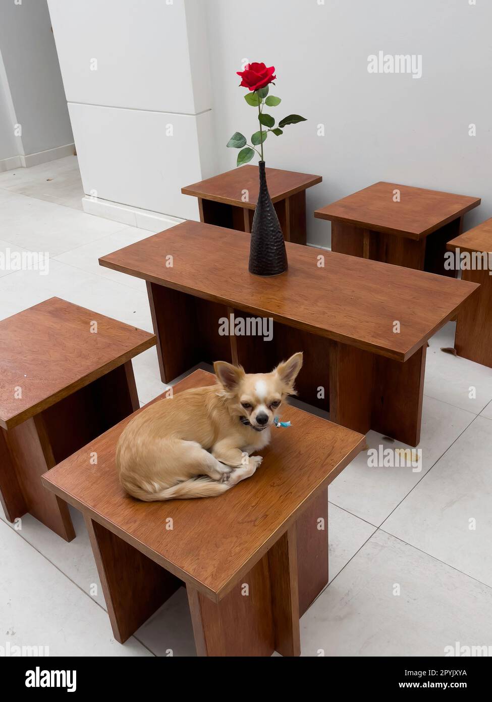 Arredamento per esterni in stile vintage Foto Stock