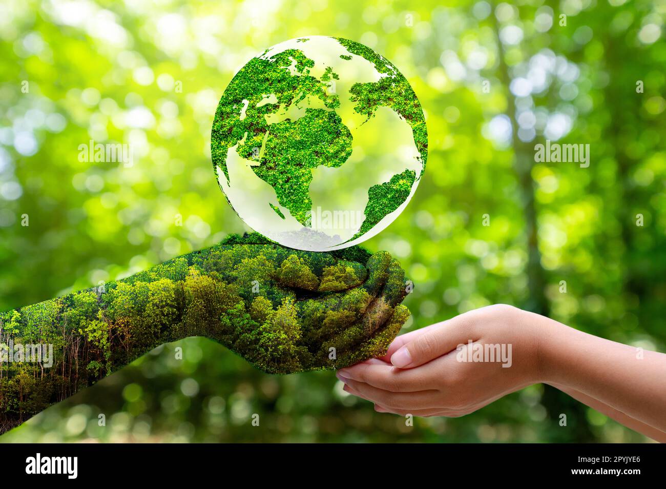 Concetto di salvare il mondo salvare Ambiente Il mondo è in erba del verde sfondo bokeh di fondo Foto Stock