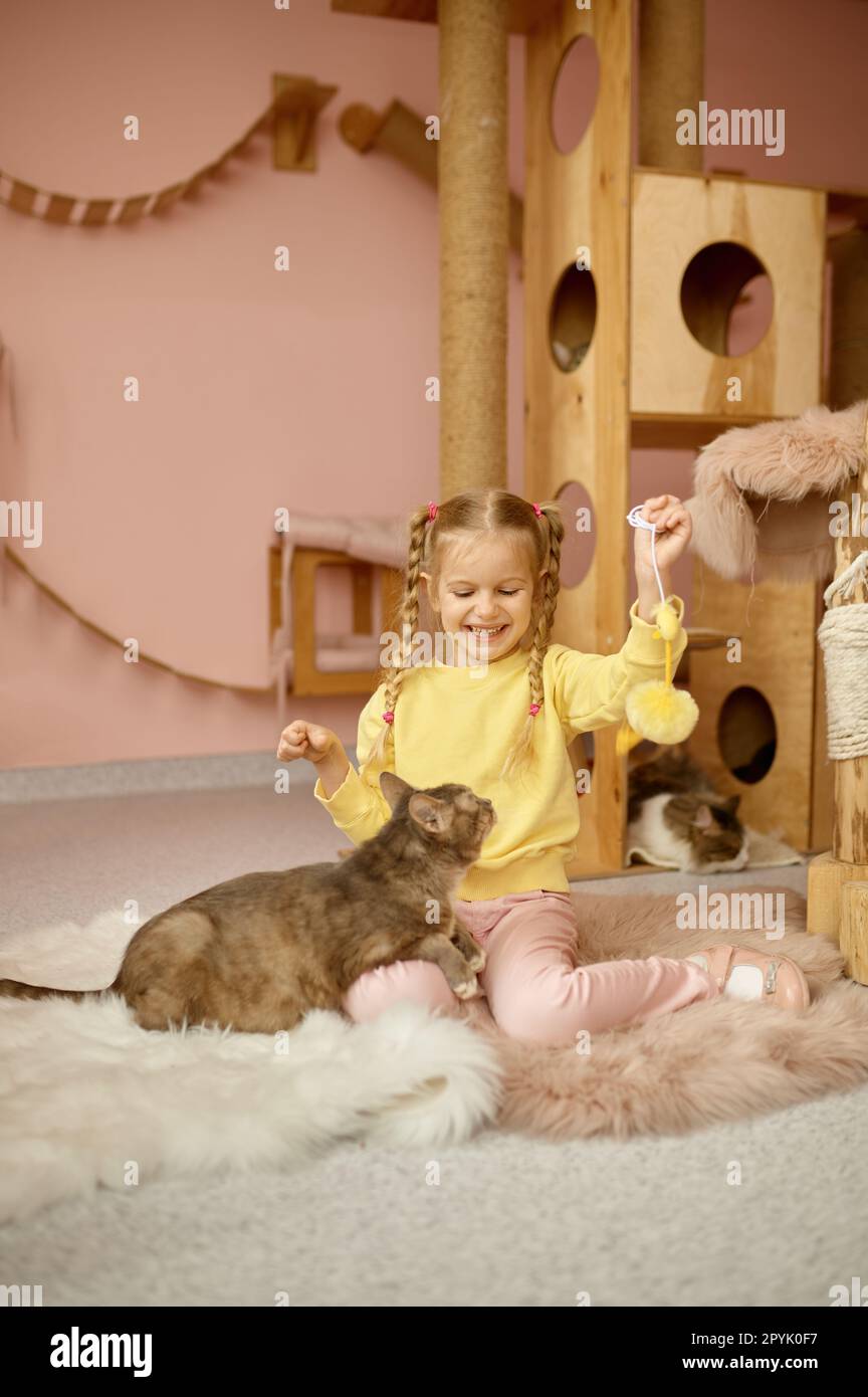 Ragazza sorridente cute che gioca con gatto in rifugio per animale domestico Foto Stock Ragazza sorridente cute che gioca con gatto in rifugio per animale domestico Foto Stock