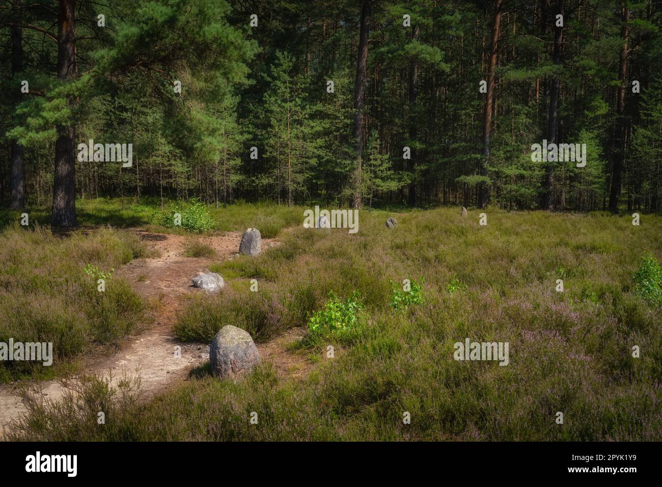 Cerchi di pietra a Odry, un antico luogo di sepoltura e di culto, in Polonia Foto Stock