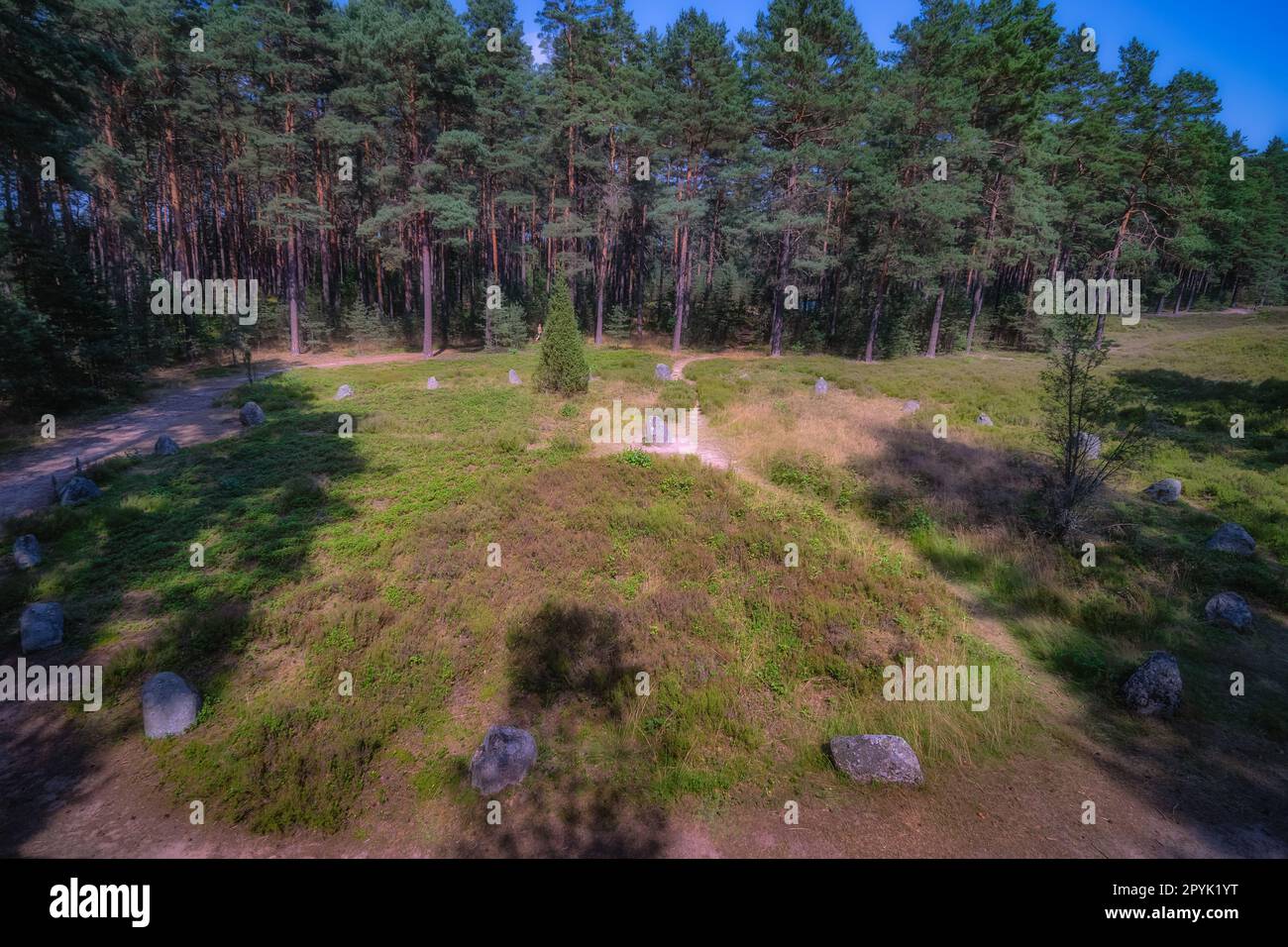 Vista dall'alto sui cerchi di pietra di Odry, un antico luogo di sepoltura e di culto, in Polonia Foto Stock