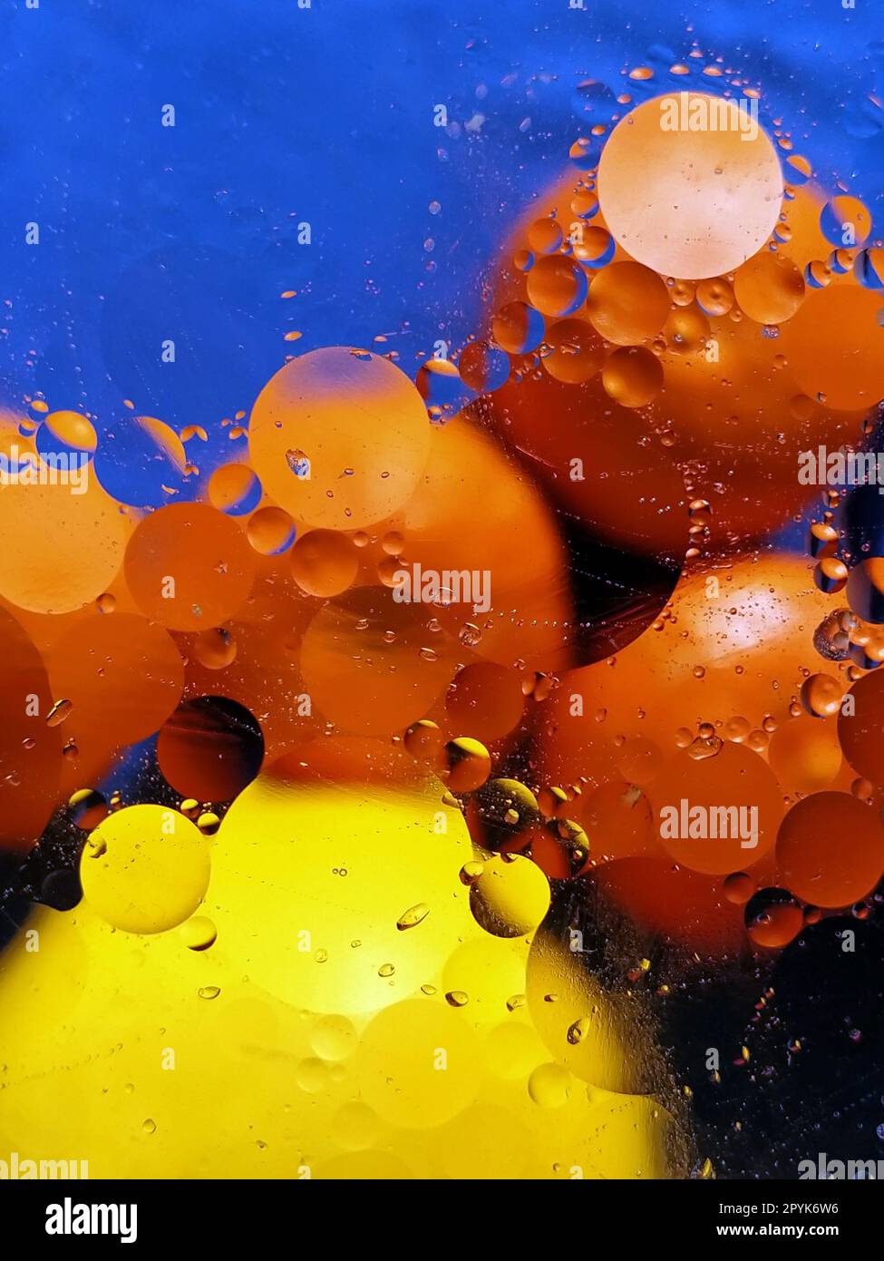 Frutta sotto vetro, acqua e olio vegetale. Sfondo blu sfocato. Arance e mandarini luminosi. Cerchi dell'olio sull'acqua. Immagine astratta. Fotografia verticale Foto Stock