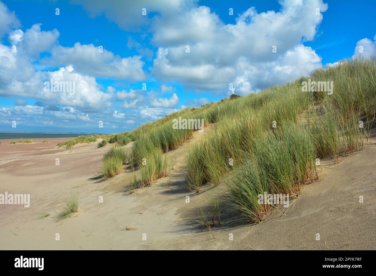 Dune di sabbia, erba da spiaggia e mare Foto Stock