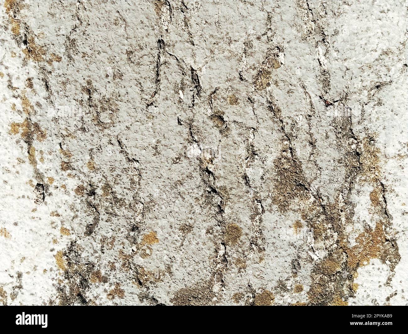 Superficie ruvida di una parete in cemento, marmo, granito o pietra chiara con macchie scure e crepe. Sfondo astratto. Sfondo creativo grigio chiaro con pezzi di muschio, sporco e polvere rossi e marroni Foto Stock