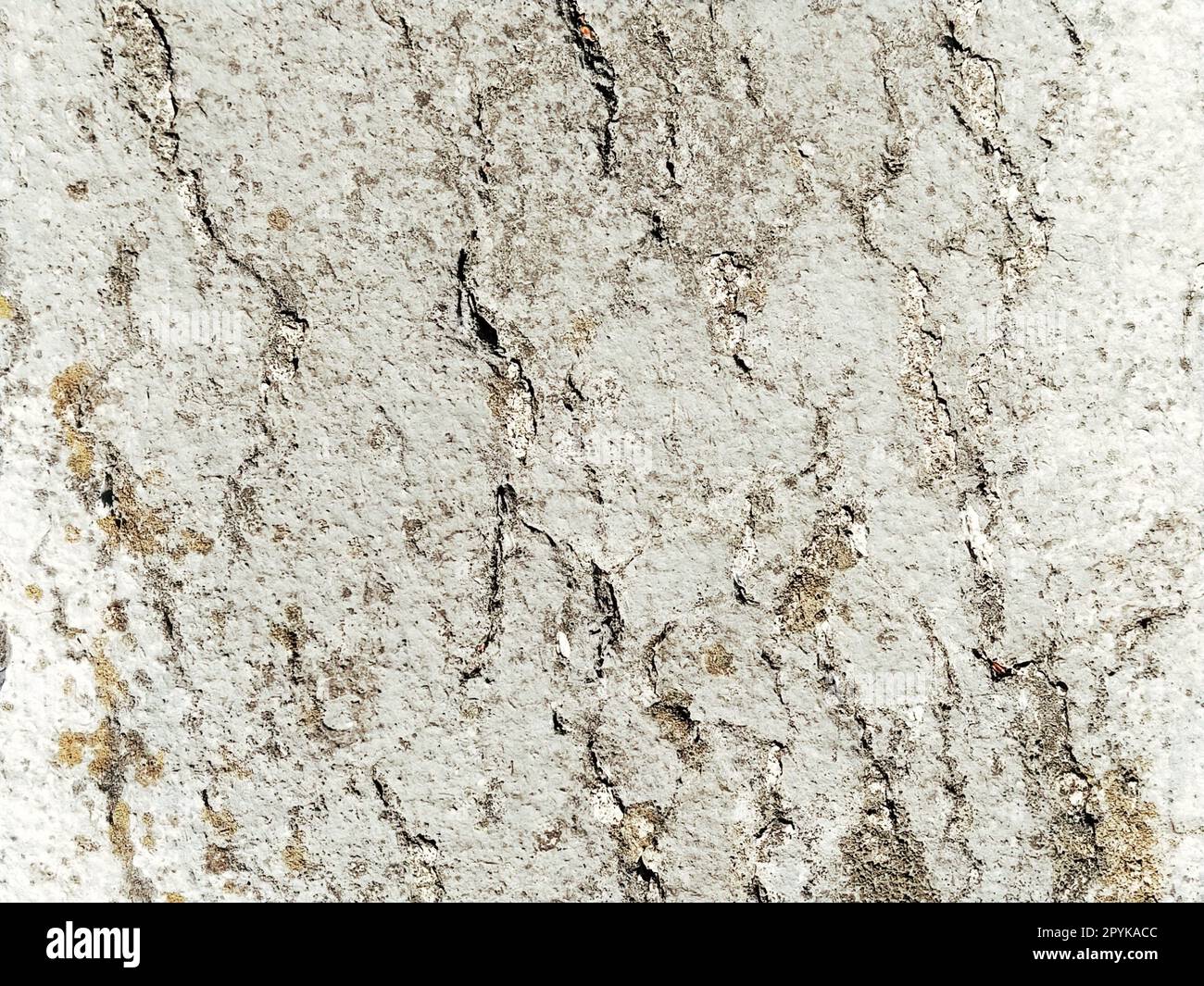 Superficie ruvida di una parete in cemento, marmo, granito o pietra chiara con macchie scure e crepe. Sfondo astratto. Sfondo creativo grigio chiaro con pezzi di muschio, sporco e polvere rossi e marroni Foto Stock