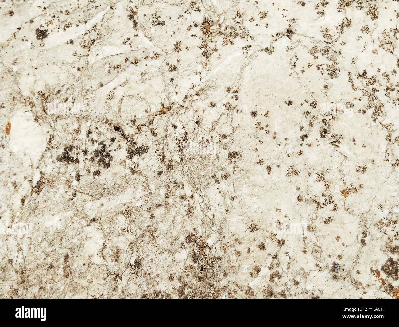 Superficie ruvida di una parete in cemento, marmo o pietra chiara con macchie scure. Sfondo astratto. Sfondo creativo grigio chiaro con pezzi di muschio, sporco e polvere rossi e marroni. Foto Stock