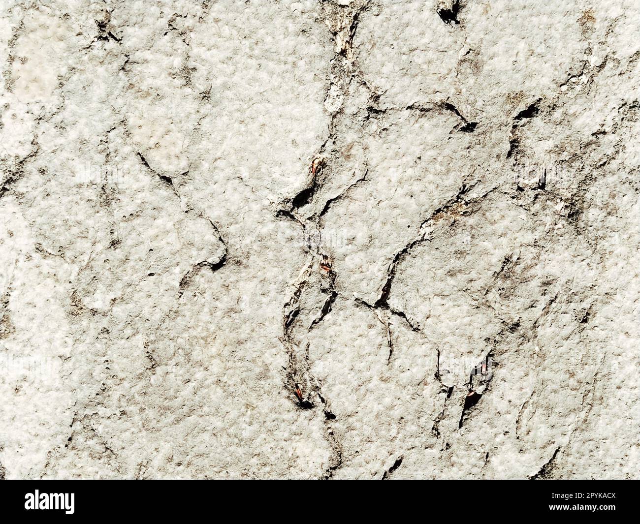 Superficie ruvida di una parete in cemento, marmo, granito o pietra chiara con macchie scure e crepe. Sfondo astratto. Sfondo creativo grigio chiaro con pezzi di muschio, sporco e polvere rossi e marroni Foto Stock