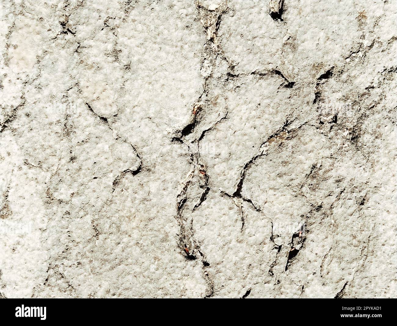 Superficie ruvida di una parete in cemento, marmo, granito o pietra chiara con macchie scure e crepe. Sfondo astratto. Sfondo creativo grigio chiaro con pezzi di muschio, sporco e polvere rossi e marroni Foto Stock