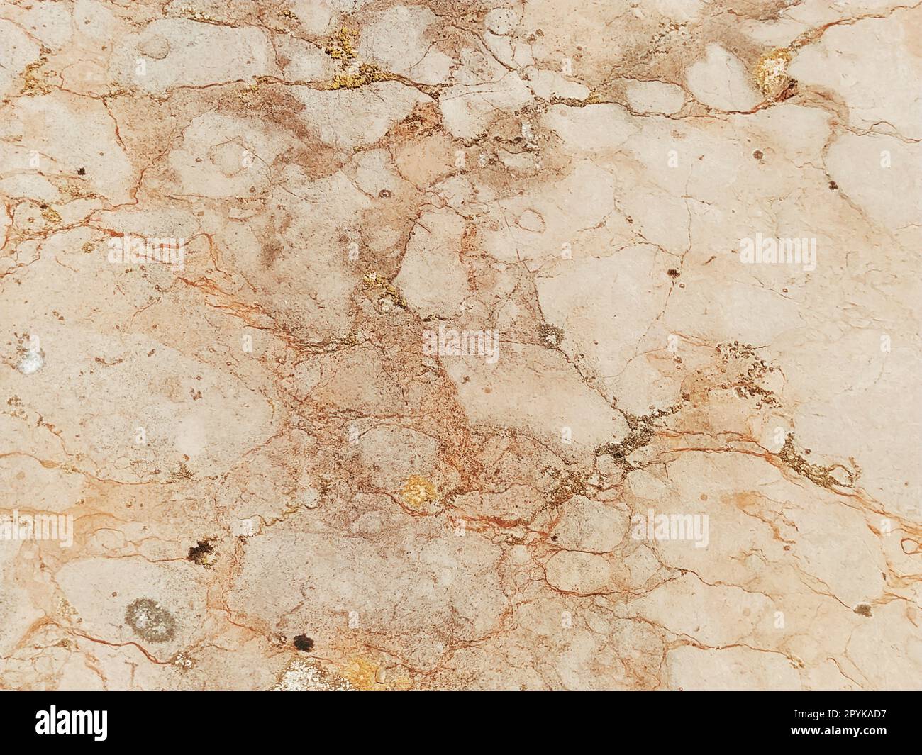 Fondo di marmo, roccia bianca. Marmo con crepe. Colori naturali grigio chiaro, beige e marrone. Contesto Foto Stock