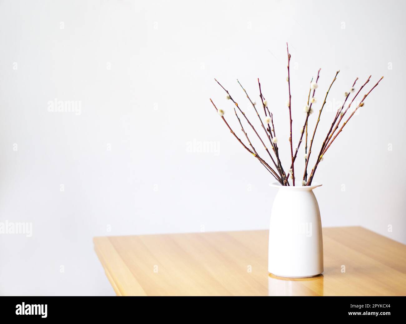 Bouquet di rami di salice su fondo bianco. Complimenti sfondo. Buona Pasqua e primavera Foto Stock