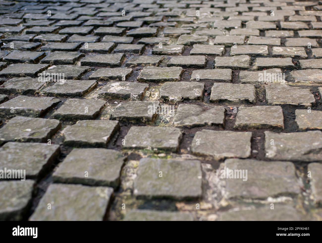 Pavimento in lastre di pietra vulcanica, per sfondo naturale. Foto Stock