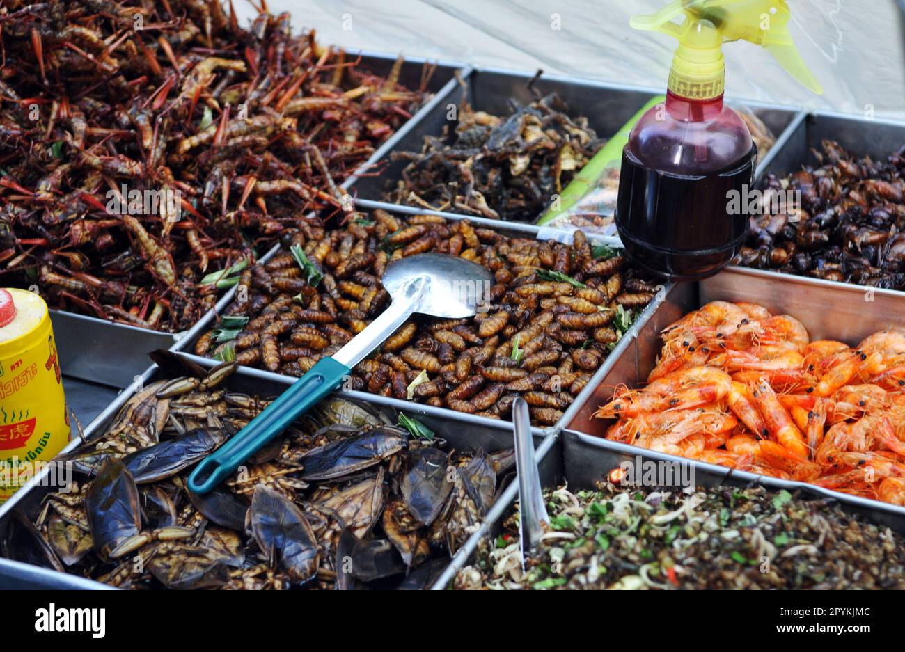 Un fornitore di insetti Fried e insetto che vende i suoi spuntini su Soi 7, Sukhumvit Road, Bangkok, Thailandia. Foto Stock