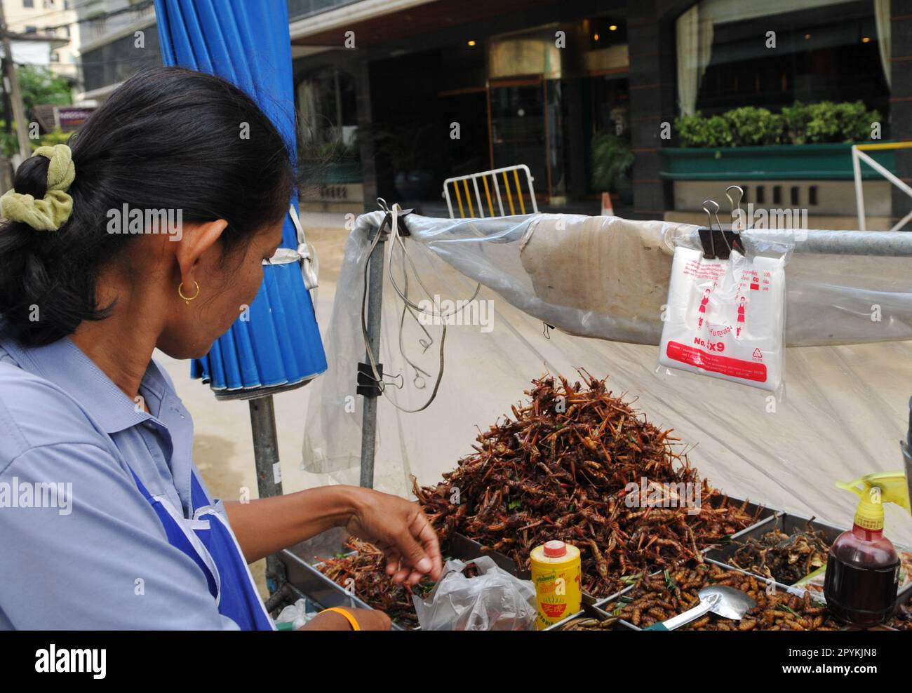 Un fornitore di insetti Fried e insetto che vende i suoi spuntini su Soi 7, Sukhumvit Road, Bangkok, Thailandia. Foto Stock Un fornitore di insetti Fried e insetto che vende i suoi spuntini su Soi 7, Sukhumvit Road, Bangkok, Thailandia. Foto Stock