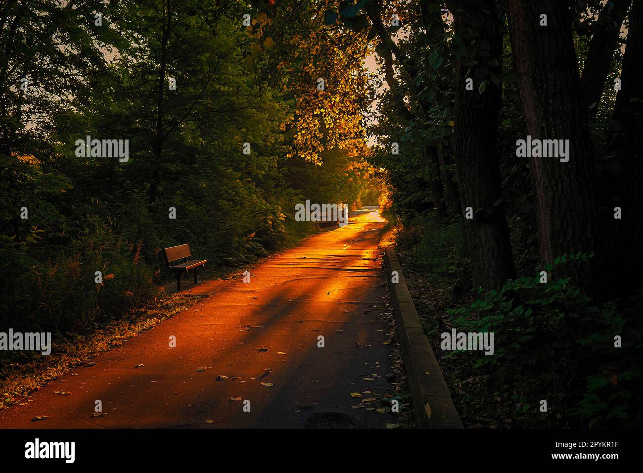 camminando verso la luce su un sentiero della città Foto Stock