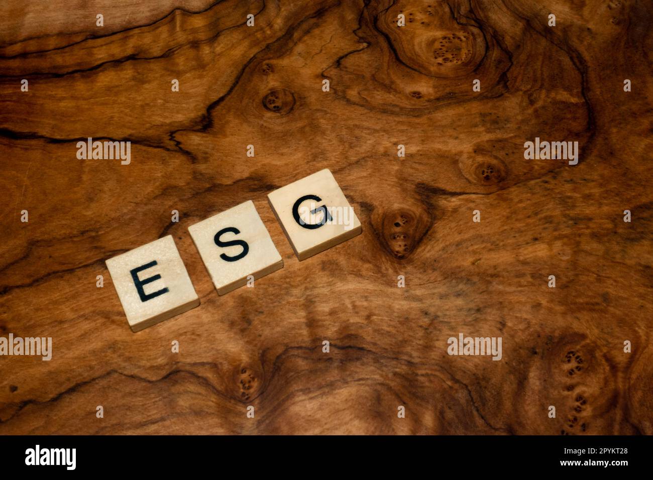ESG scritto con lettere in blocco che indica il concetto di investimento ecologico sociale e di governance Foto Stock
