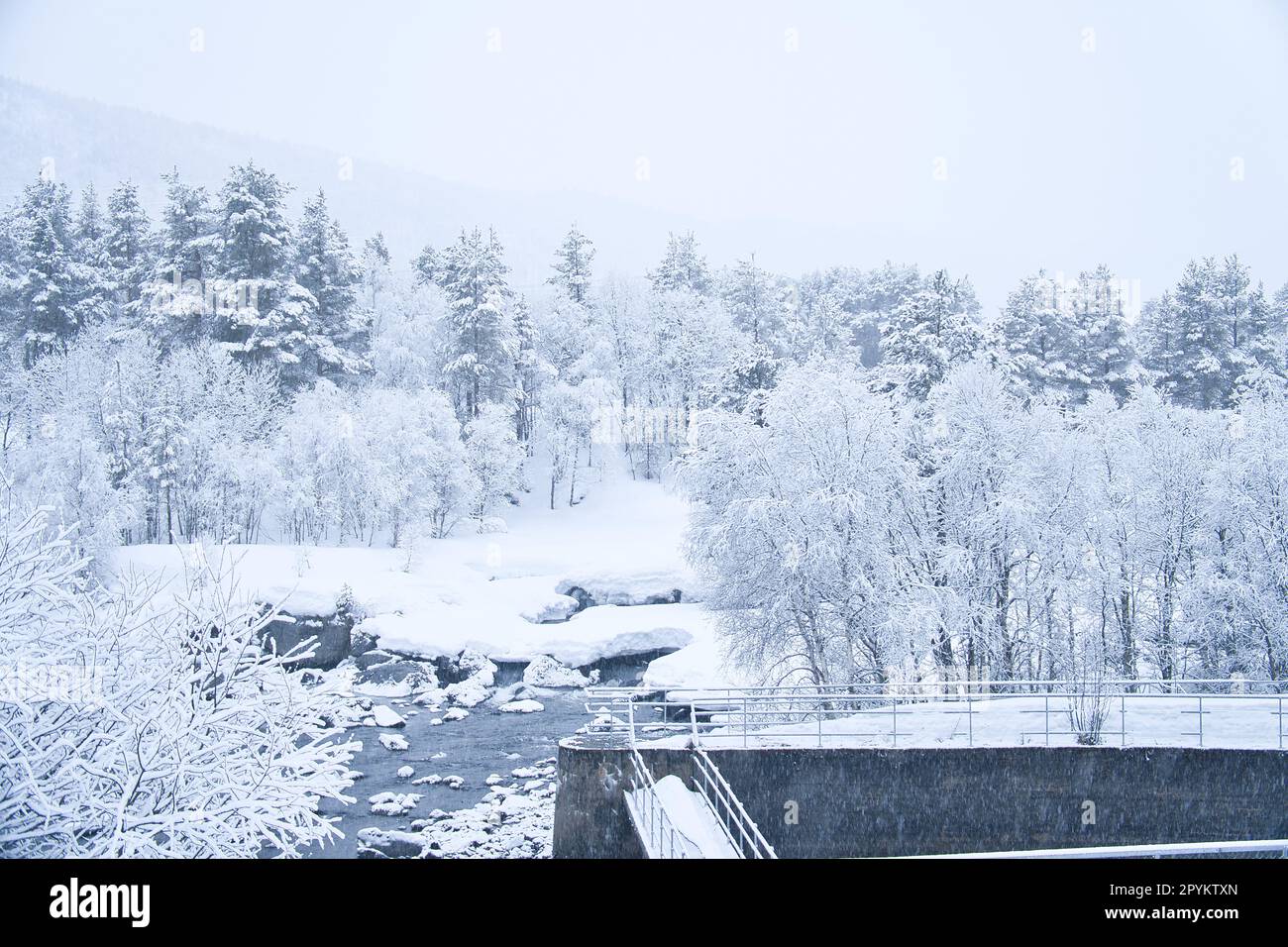 Paesaggio invernale in Scandinavia. Con alberi innevati da un piccolo ruscello. Foto del paesaggio da nord Foto Stock