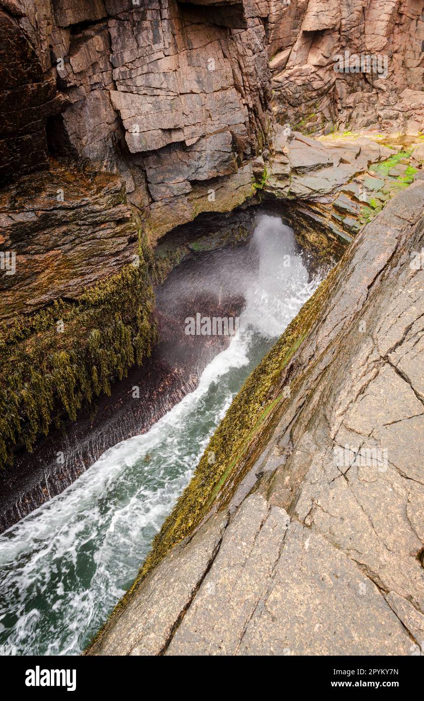 Parco Nazionale di Acadia nel Maine Foto Stock