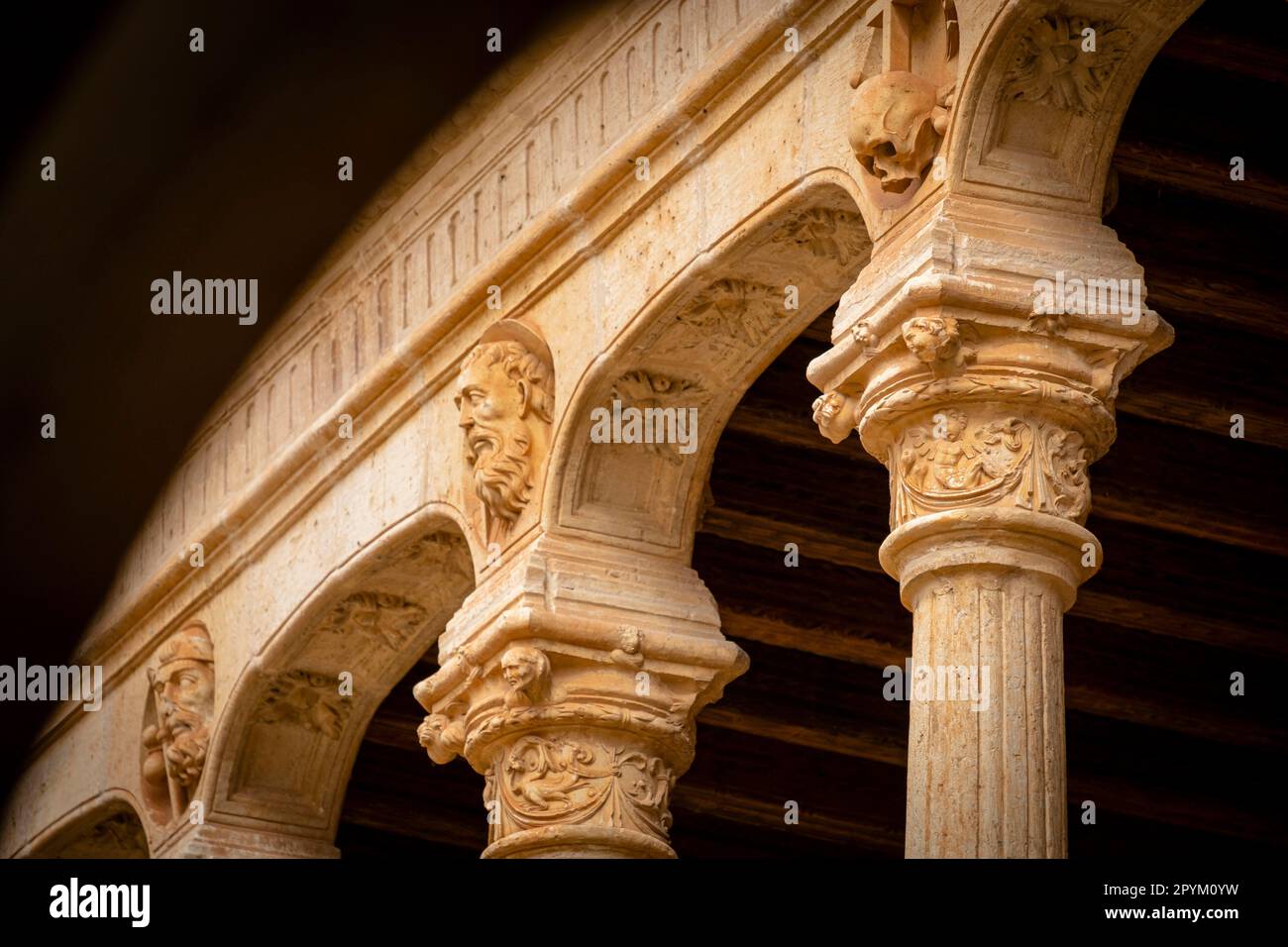 monasterio de Santa María la Real de Huerta, construido entre los siglos XII y XVI, Santa María de Huerta, Soria, comunidad autónoma de Castilla y Foto Stock