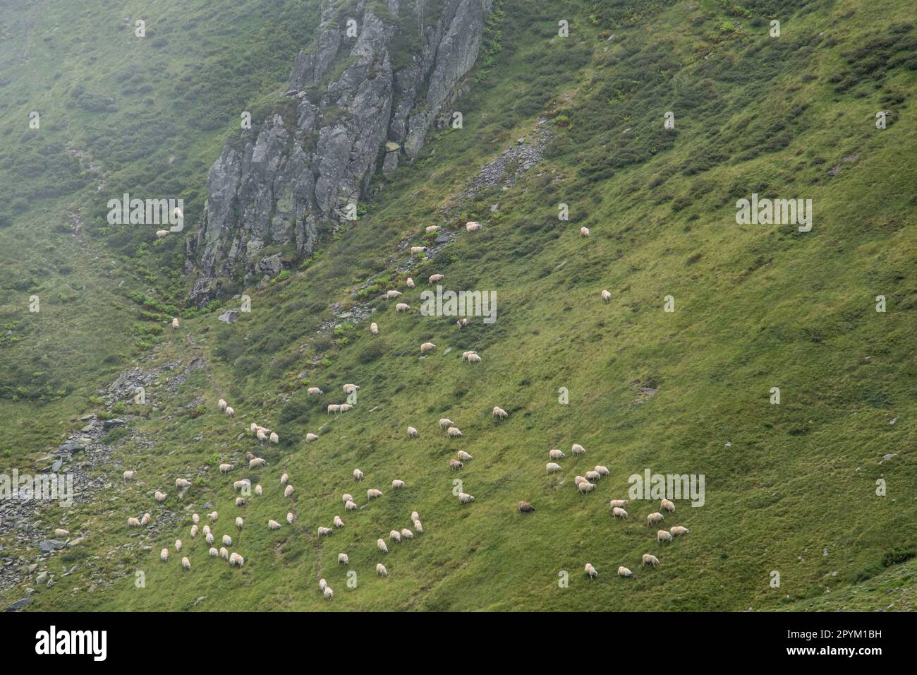 cabañas de Ansbere, región de Aquitania, departamento de Pirineos Atlánticos, Francia Foto Stock