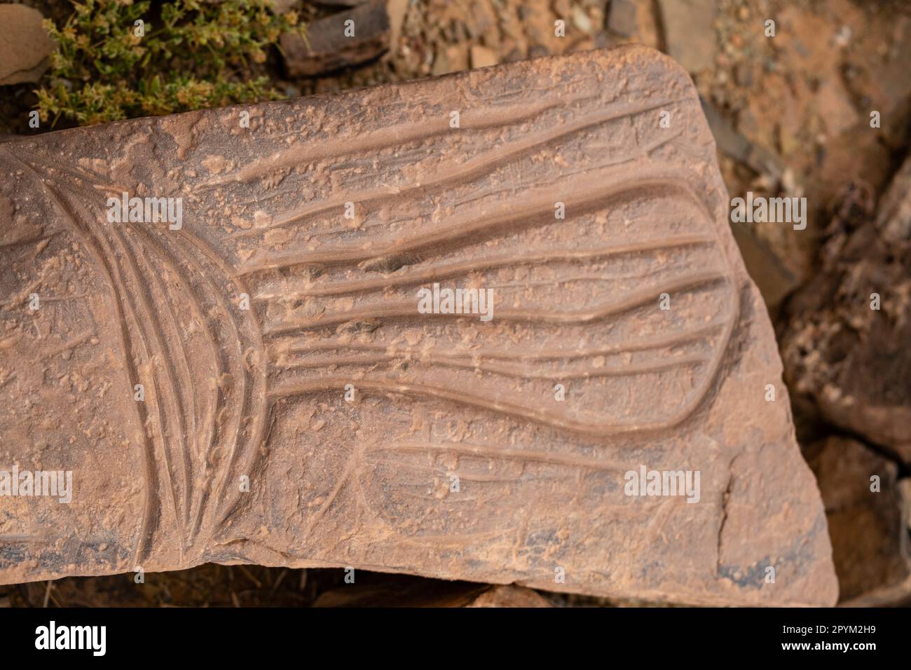 petroglyph, Ait Ouazik deposito rock, fine Neolitico, Marocco, Africa Foto Stock