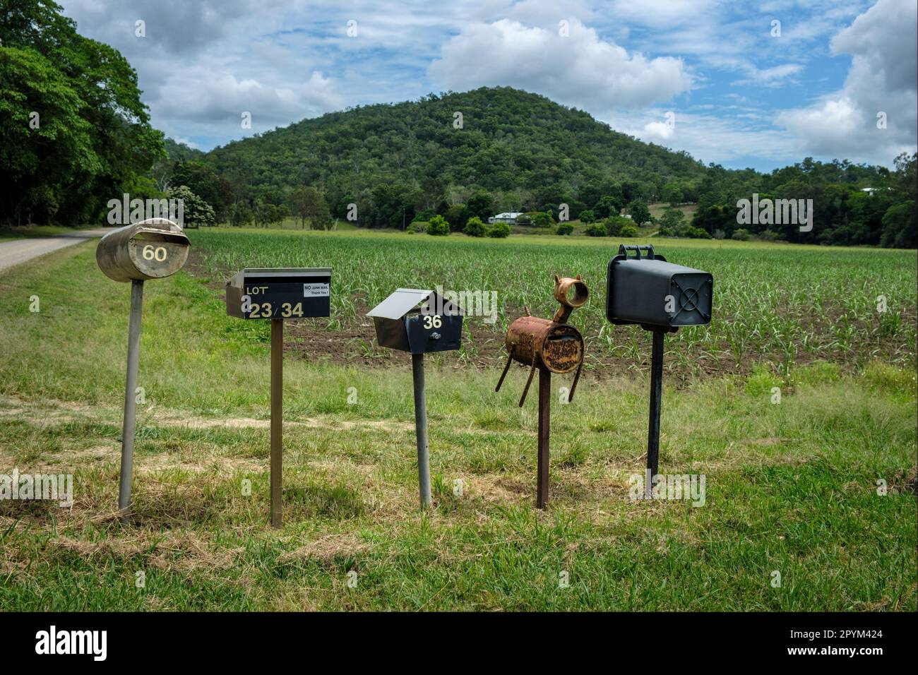 Caselle postali rurali, Cape Hillsborough, Queensland, Australia Foto Stock