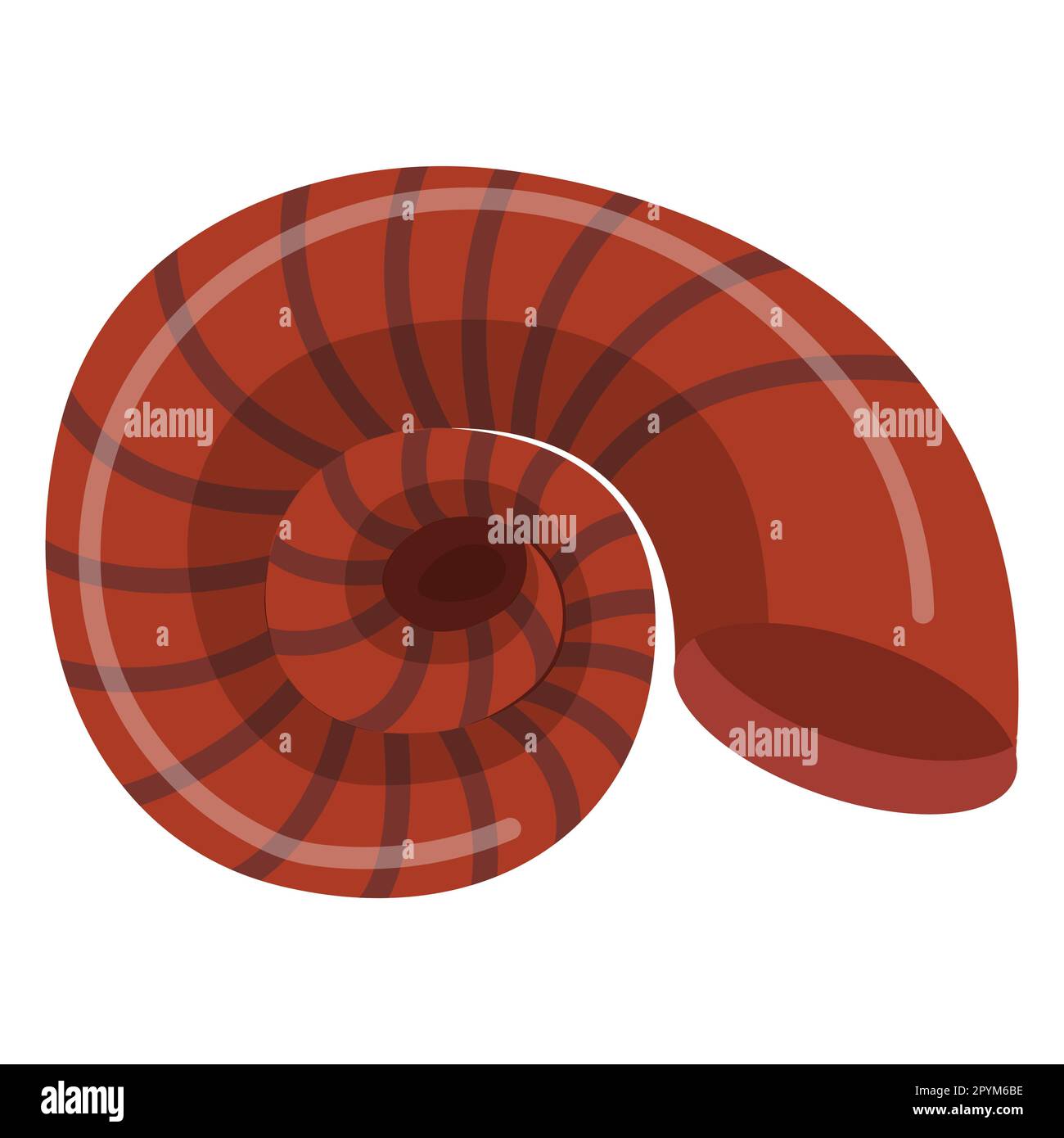 Seashell. illustrazione vettoriale isolata su sfondo bianco. Illustrazione Vettoriale