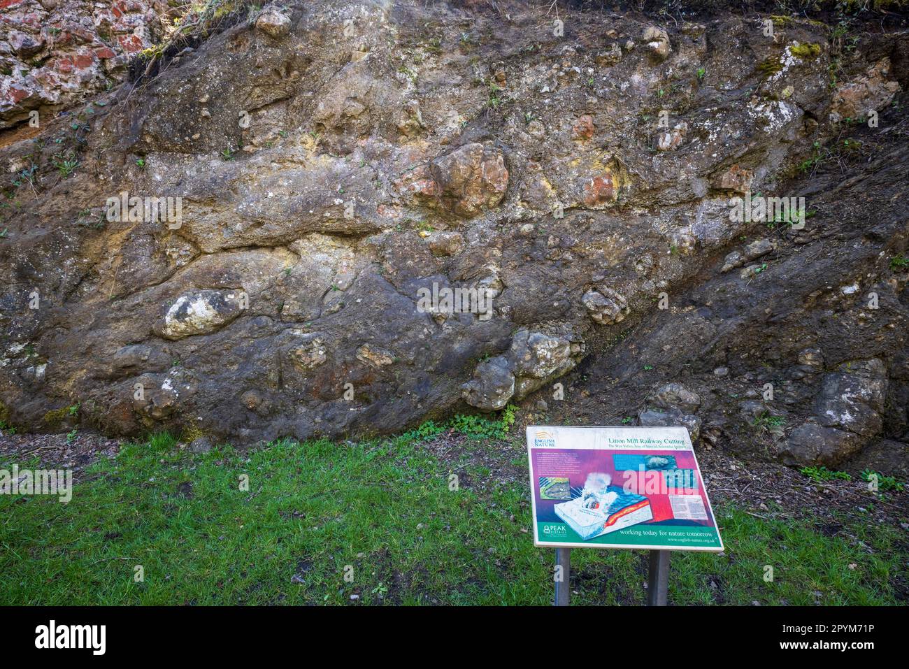 Rocce vulcaniche a Litton Mill Railway taglio sul Monsal Trail, Peak District National Park, Derbyshire, Inghilterra Foto Stock