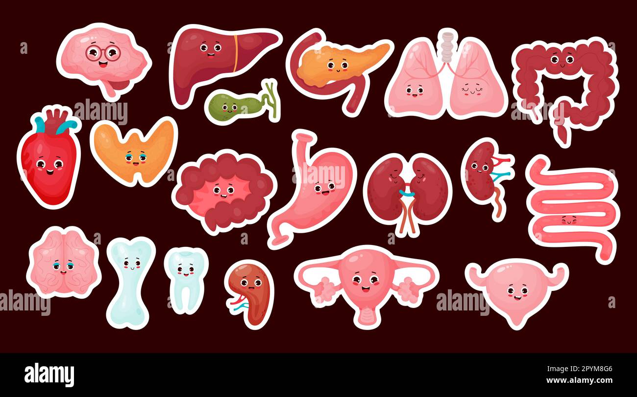 Grande collezione adesivi carino organi cartone animato umano. Disegno di illustrazioni di personaggi di cartone animato piatto isolato del vettore. Concetto di anatomia Illustrazione Vettoriale