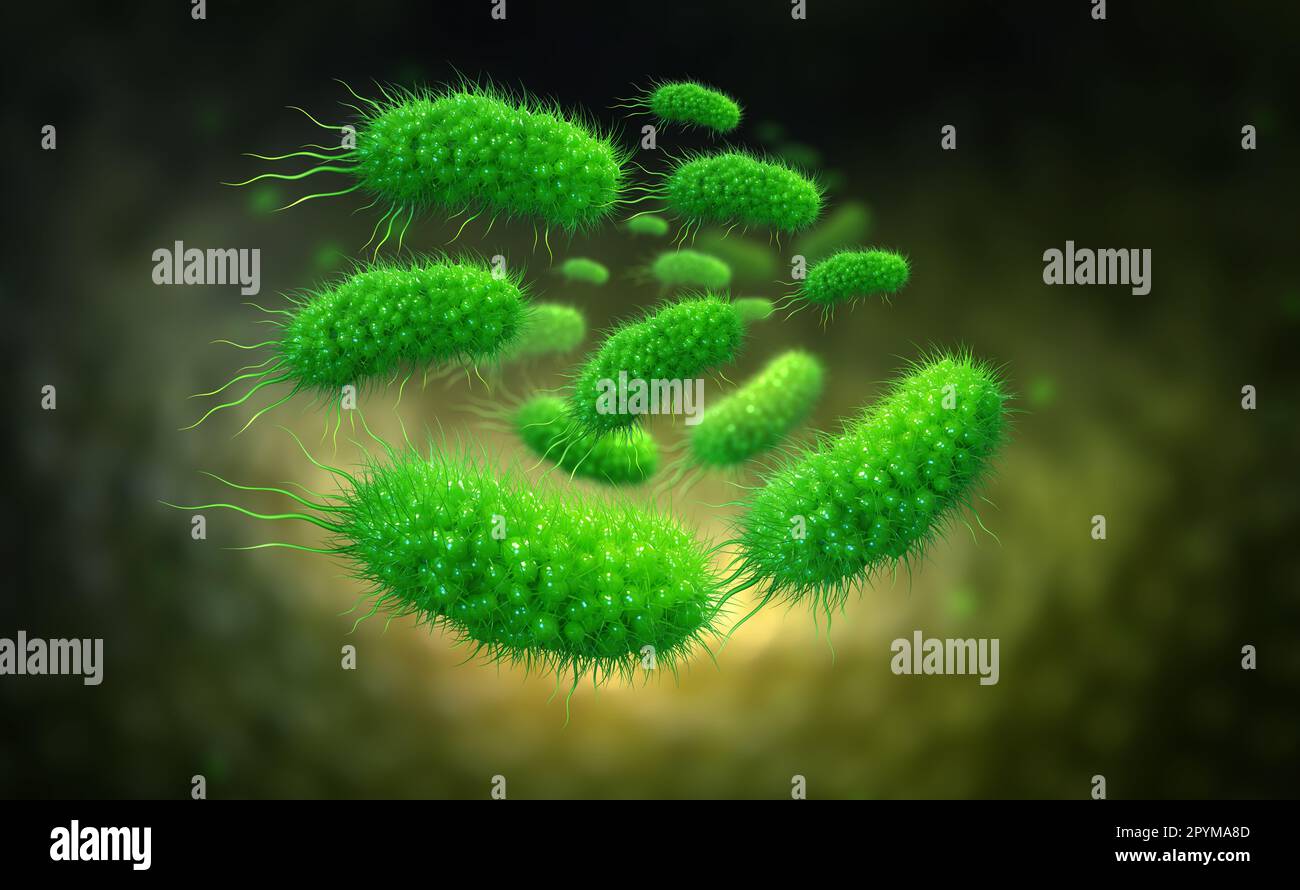 Escherichia coli, colonia di batteri 3D illustrazione. Microrganismi in ambiente acquatico al microscopio. Probiotici. Batteri intestinali, Gut Flo Foto Stock
